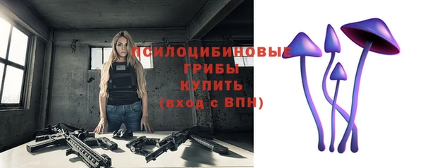 а пвп мука Гусев