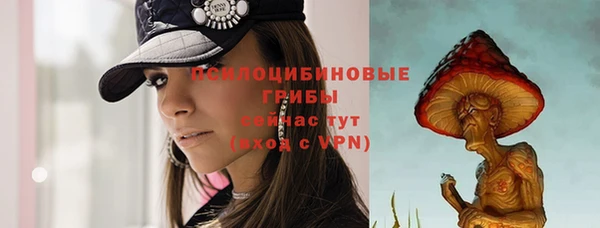 метадон Гусь-Хрустальный