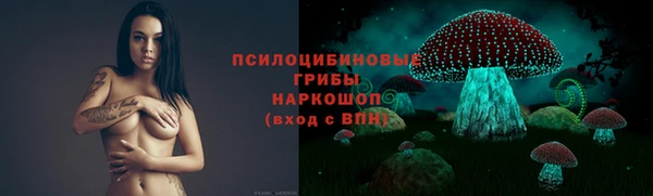 а пвп мука Гусев