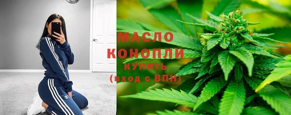 метадон Гусь-Хрустальный